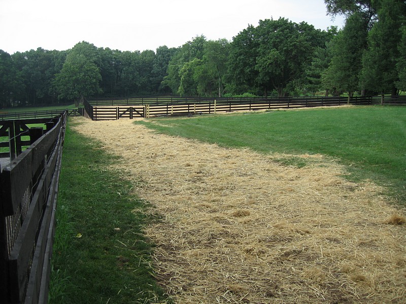 Equestrian Outdoor Riding Arena