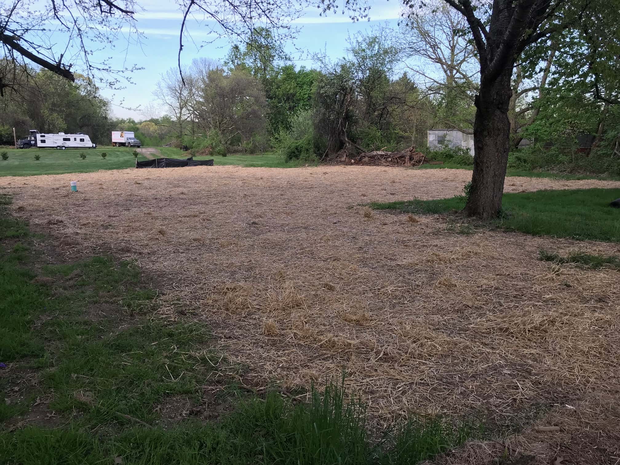 Storm water management areas were seeded and mulched